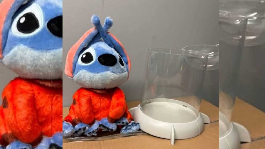 Palomera Stitch Cinépolis 2025: Precio y fecha de venta 2 Cinéolis lanza palomera de Stitch